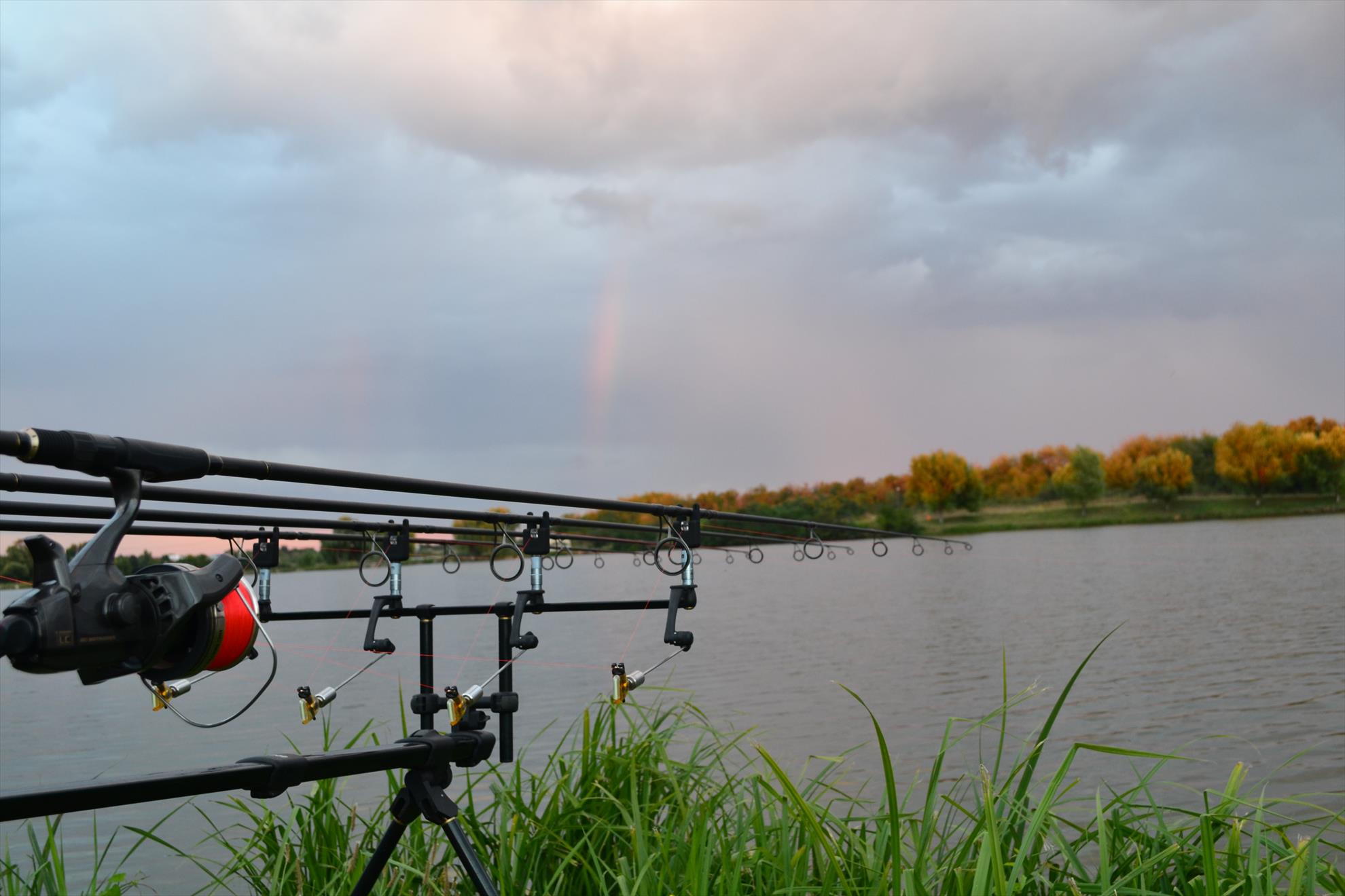 partide de pescuit - 201309031579.JPG